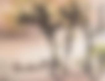 Fisherman's Song (preview)