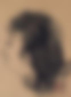 Lady (preview)
