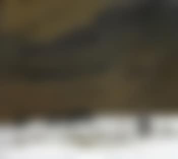 Farmer, black cattle and melting snow (preview)
