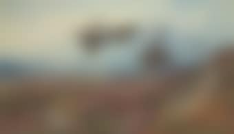 Grouse in flight (preview)