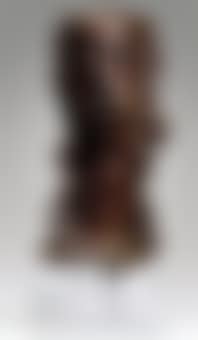 Femme Aux Cheveux Longs Revenant Sur La Poitrine (preview)