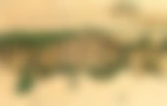 Landschaft (Ruine Weitenegg) (preview)