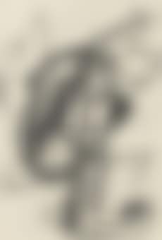Personnage, oiseau (preview)