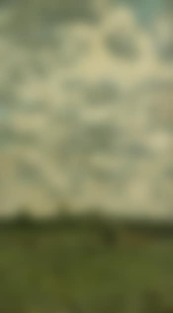 Dicht bewolkte Landschaft (preview)
