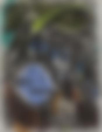 Orgiaque (preview)