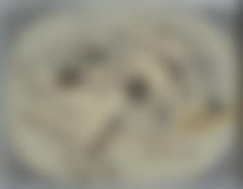 Nature morte (preview)
