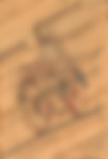 Motociclista (preview)
