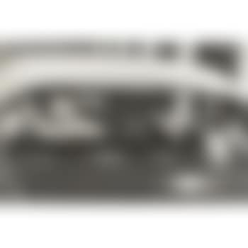 Untitled (Children In Back Seat Of Car) (preview)