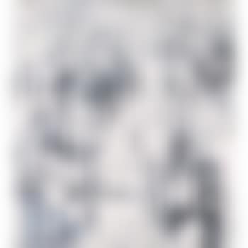 Hiver (preview)