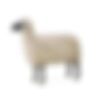 Mouton De Pierre (preview)