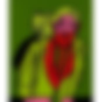 Autoportrait Et Chat (preview)