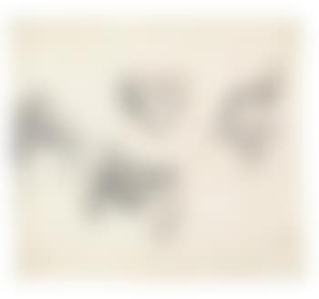Four heads of foxes and wolves (preview)