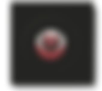 Rotoreliefs (Optical Discs) (S 441d) (preview)