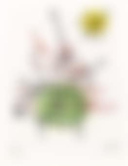 Suite La Bague d'Aurore: one plate (D 127; see C books 45) (preview)