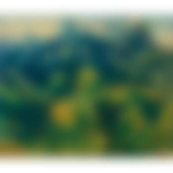 Fata Morgana (preview)