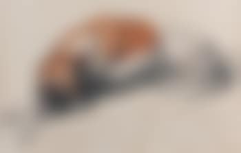Chien couché (preview)