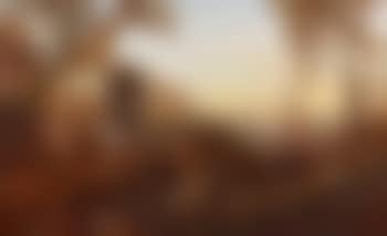 Australian pioneers (preview)