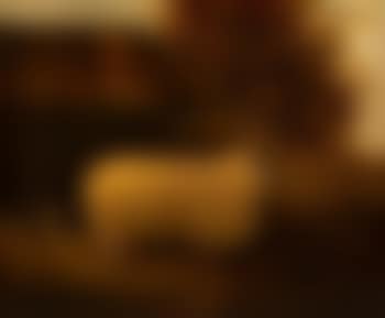 A Scottish blackface in a landscape (preview)
