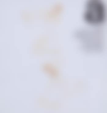 PIP (preview)