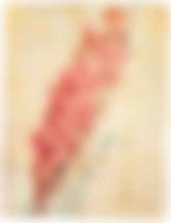 Gladiole (preview)