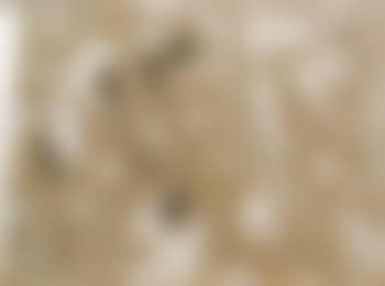 Composition I (preview)