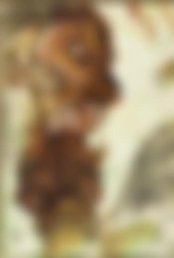 Fetiche (preview)