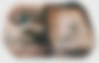 Composition gris (preview)