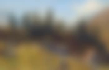 Sommerliche Alppartie mit Hirten schafen und Ziegen (preview)