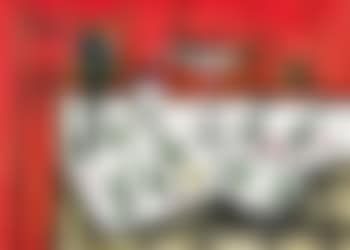 Nature morte fond rouge (preview)