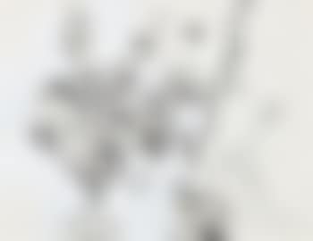 Abstrakte Kompisition (preview)