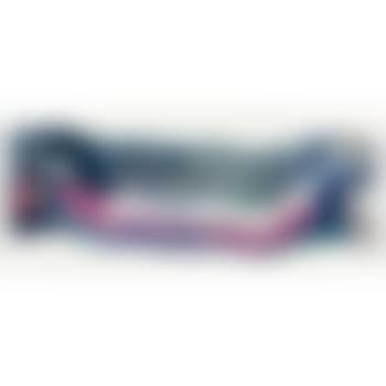 Panorama (preview)
