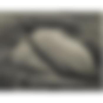 Selected Studies Of Rock Forms (preview)
