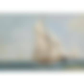 White Wings (preview)