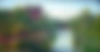 River landscape with cattle watering (preview)