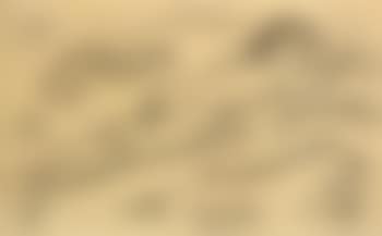 Liegender Akt (preview)