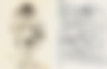 Untitled (Nude with Milk Line)  Untitled (Couple in Bed) (preview)