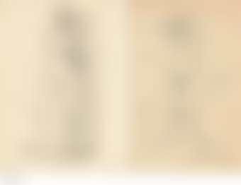 Untitled (Standing Female Nude), recto; Untitled (Incomplete Study of Standing Female), verso; Woman at her Bath (preview)