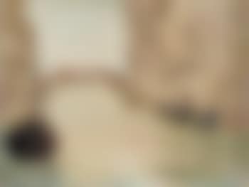 Venise (preview)