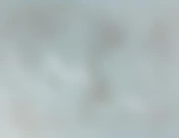 Nu (preview)
