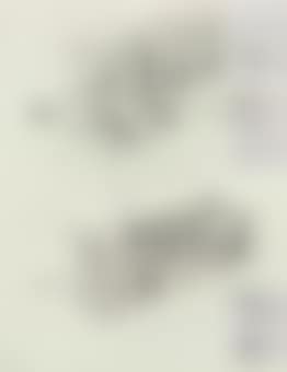 Study #223 (preview)