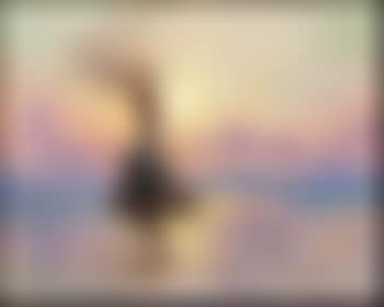 Fishing vessel at sea (preview)