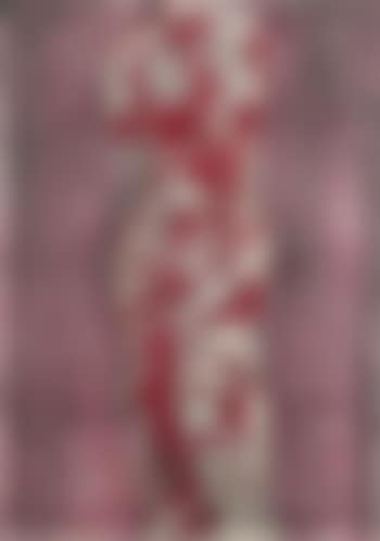 Nine Views of Winter (8) (preview)