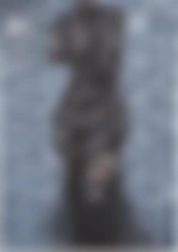 Nine Views of Winter (1) (preview)
