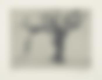 Tree (preview)
