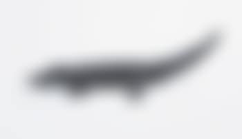 Aligator (preview)