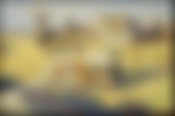 Mulies among boulders (preview)