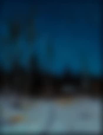 The starlit night, Anchorage, Alaska (preview)