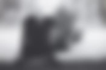 Willie Thomas (preview)