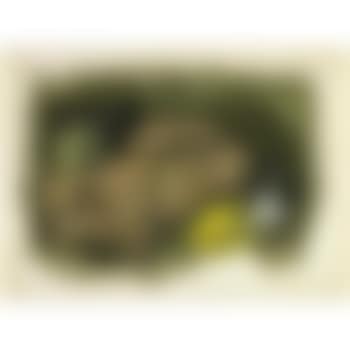 Untitled (preview)
