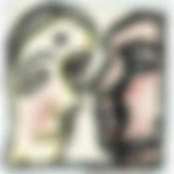 Untitled (preview)
